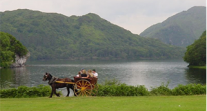 HORSECARTS
